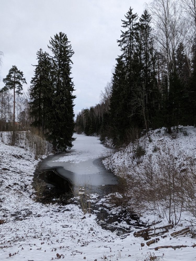 Photo #11734909