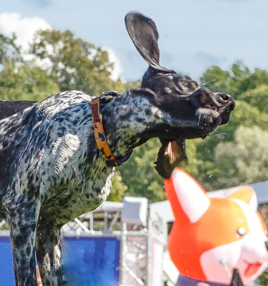 Photograph by Вадим Маслов