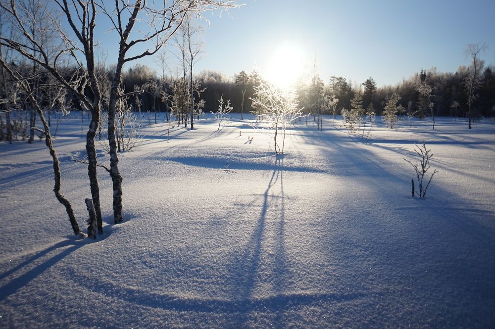 Photograph by Лена Максимкина