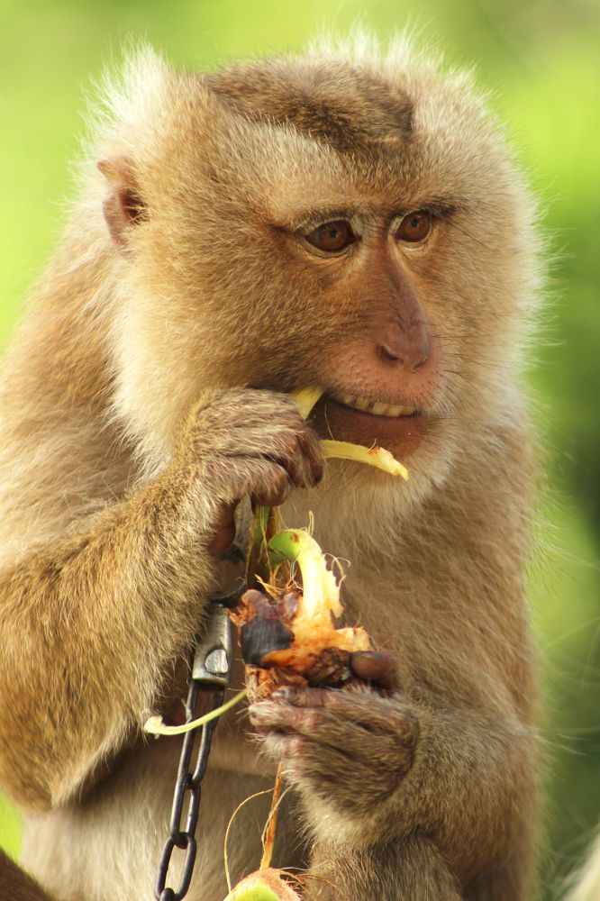Фотография автора Яна Никольская