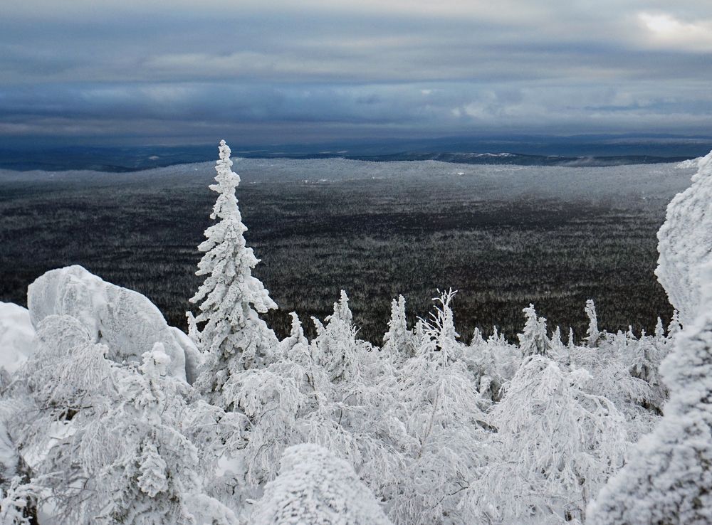 Photograph by Лена Максимкина