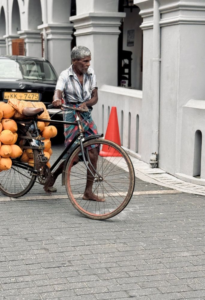 Photograph by Елена Ковалева