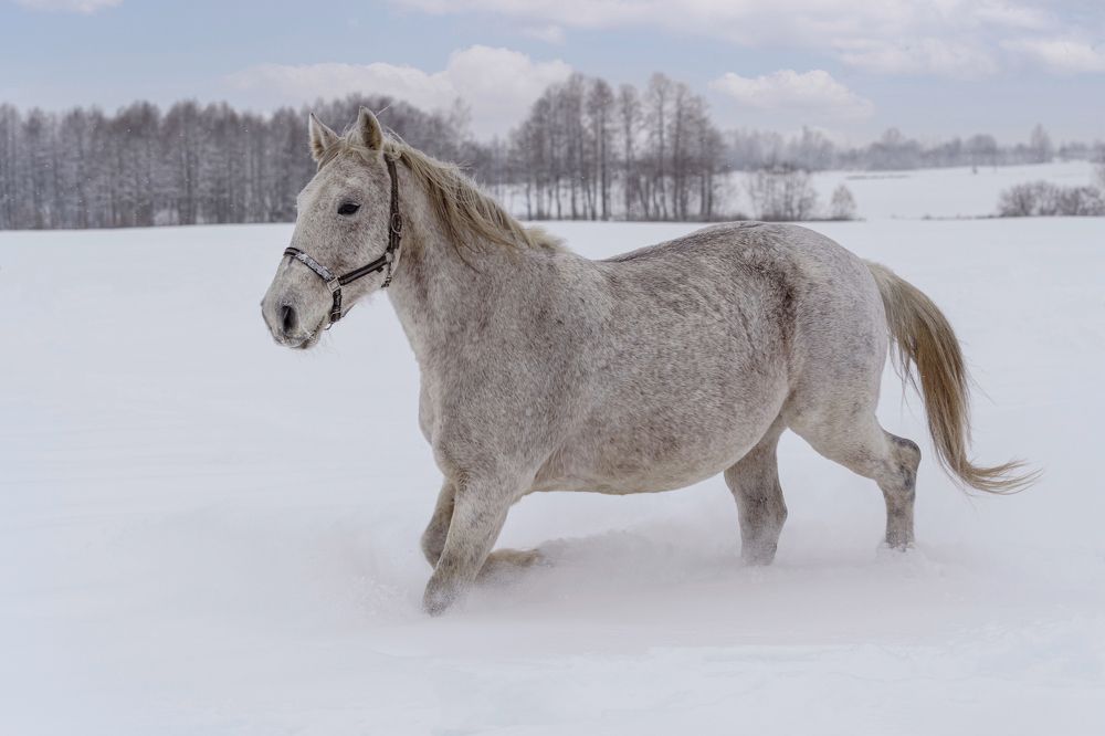 Фотография автора Erika
