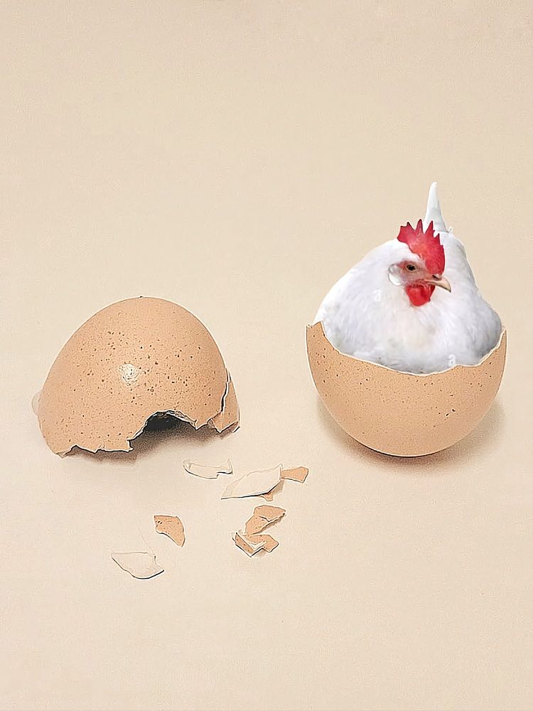 Photograph by Catherine Walter-Prêtre