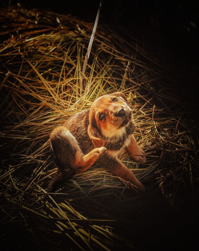 Photograph by Kareem Abo el magd