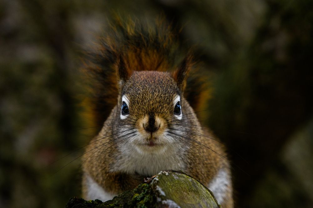 Photograph by Nathalie Talbot