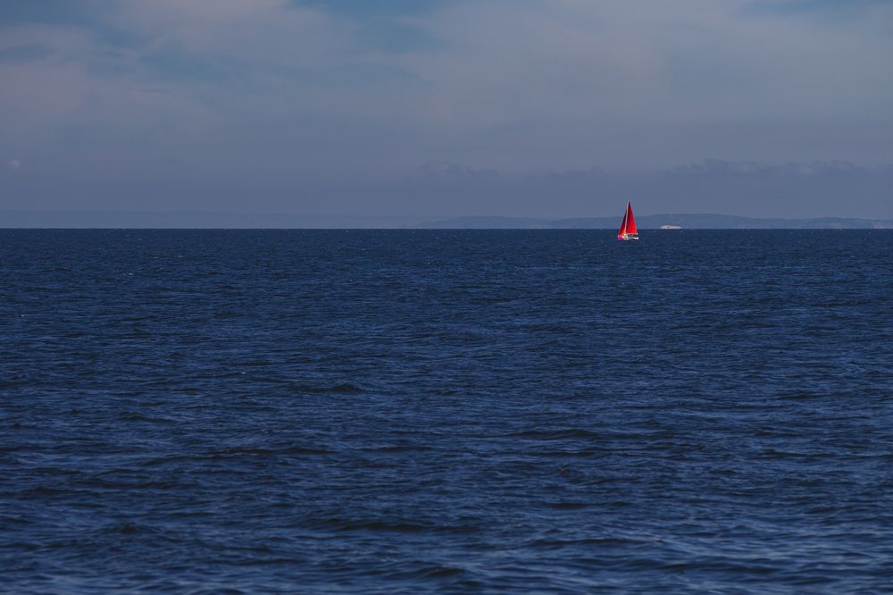 Фотография автора Дмитрий Старостин