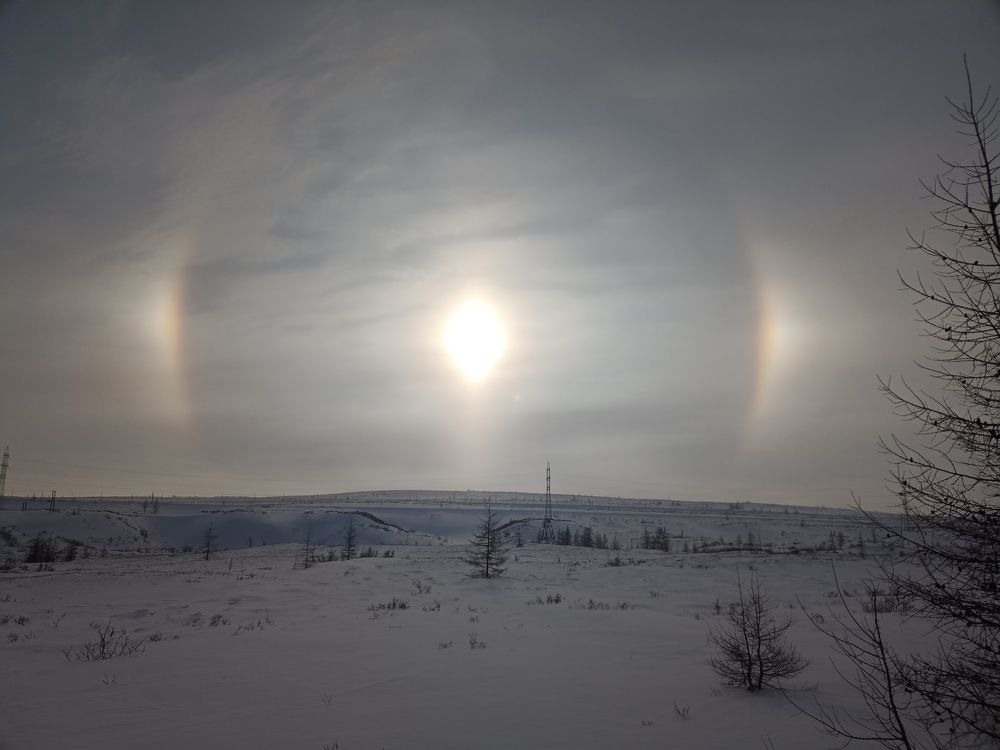 Photo #11735051