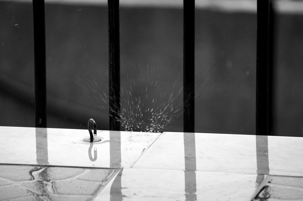 Photograph by Лена Максимкина