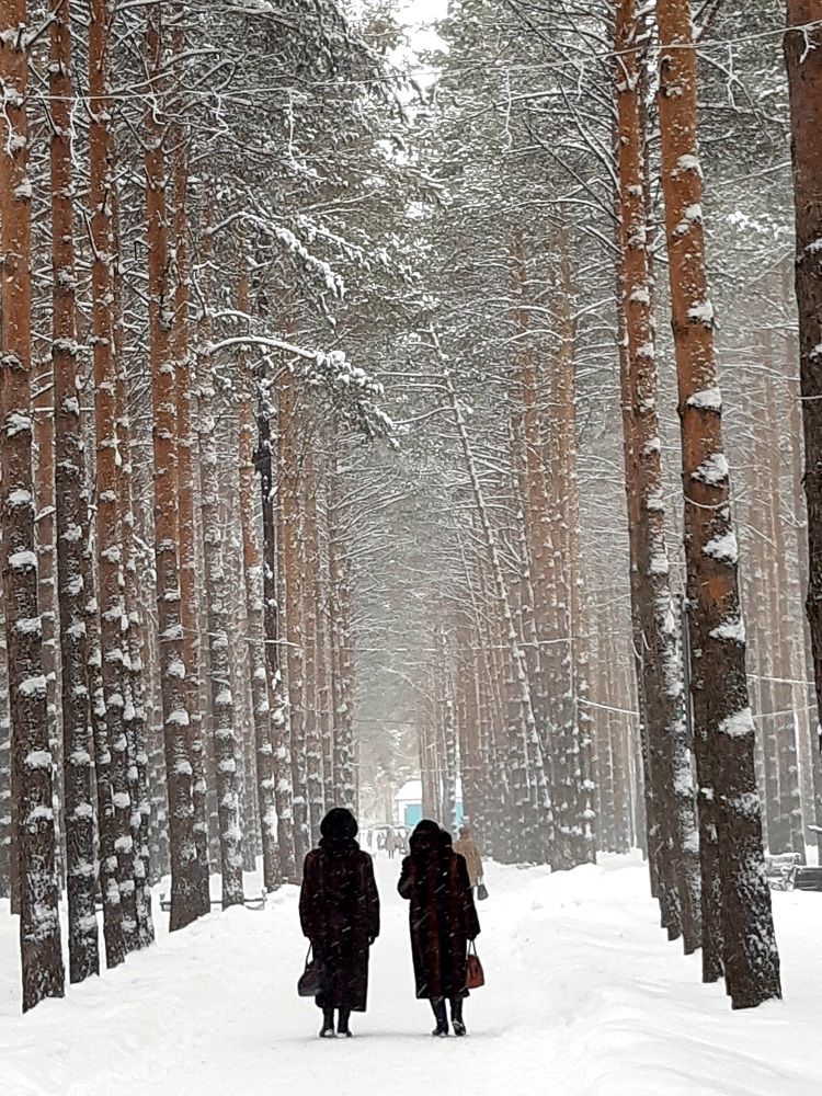 Фотография автора Наталья Шендяпина