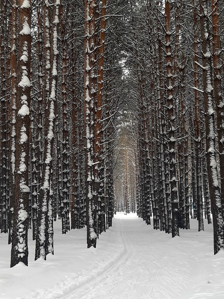 Мобильная фотография.