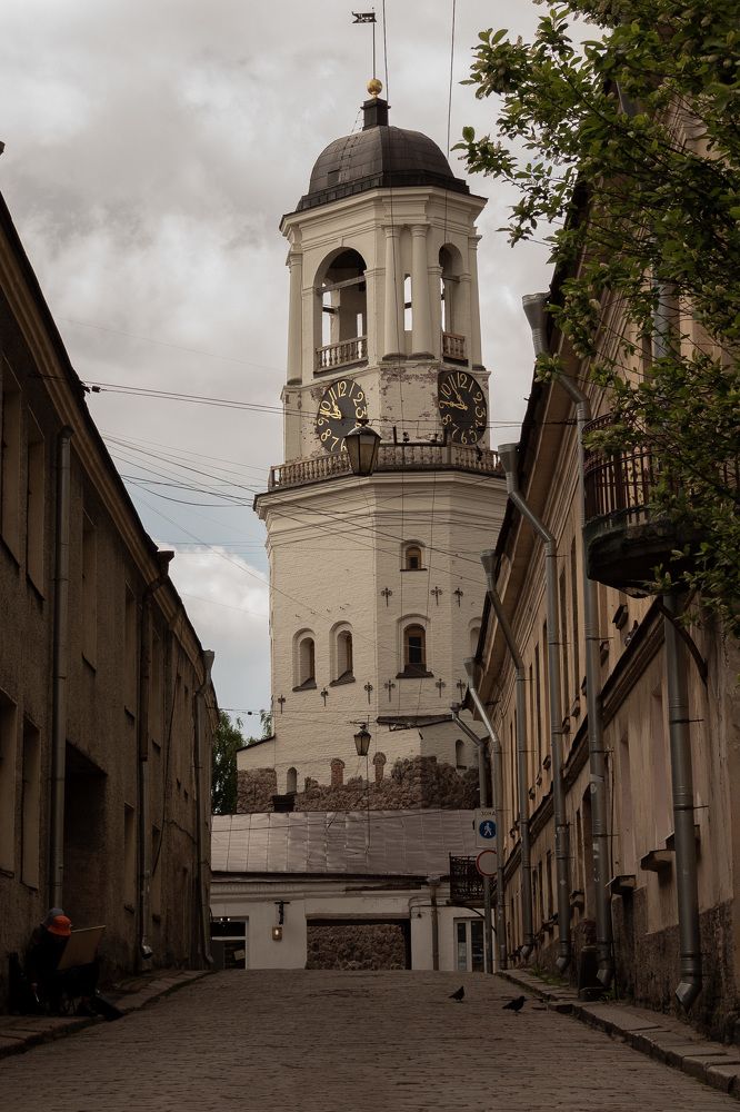 Photograph by Елена Замуруева