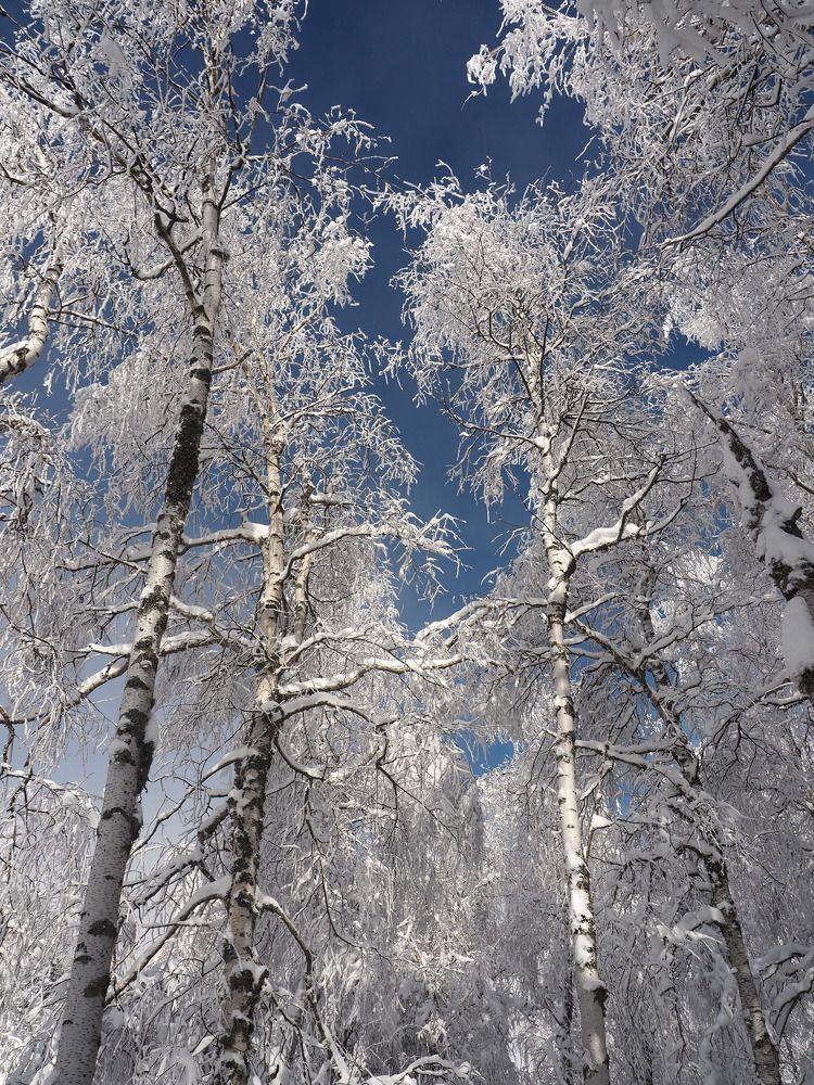 Photograph by Любовь