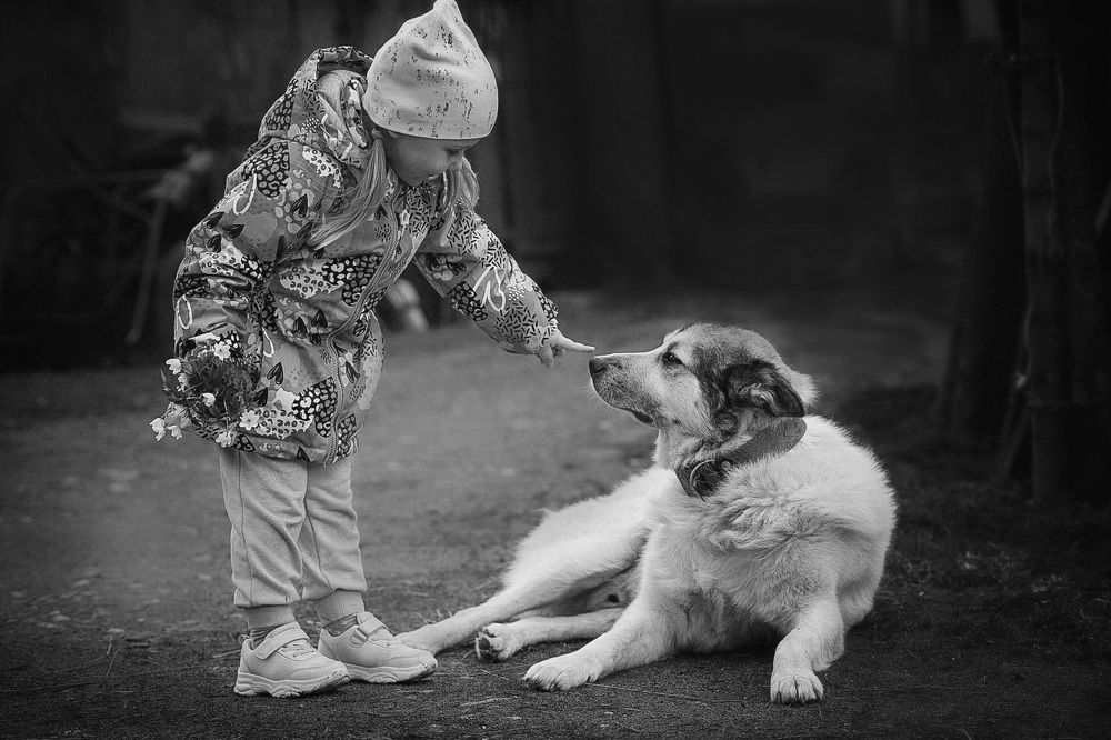 Photograph by Татьяна Шандромайло