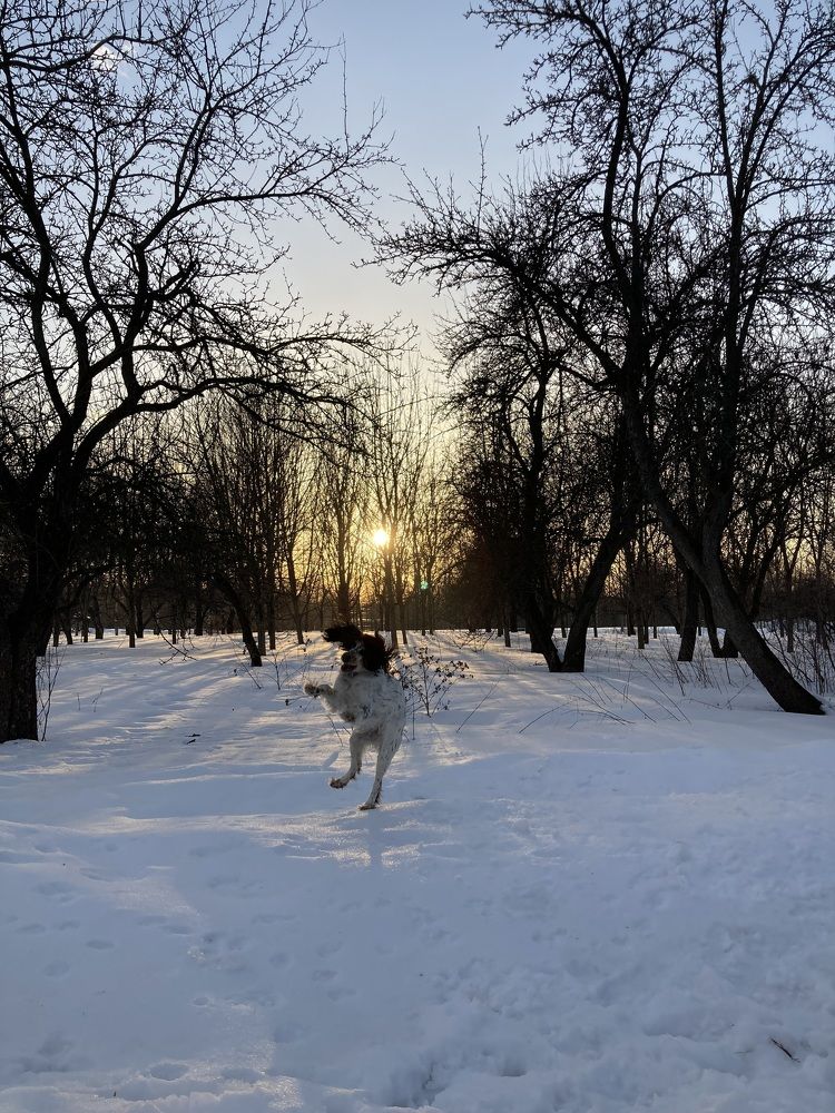 Photograph by Светлана Колышева