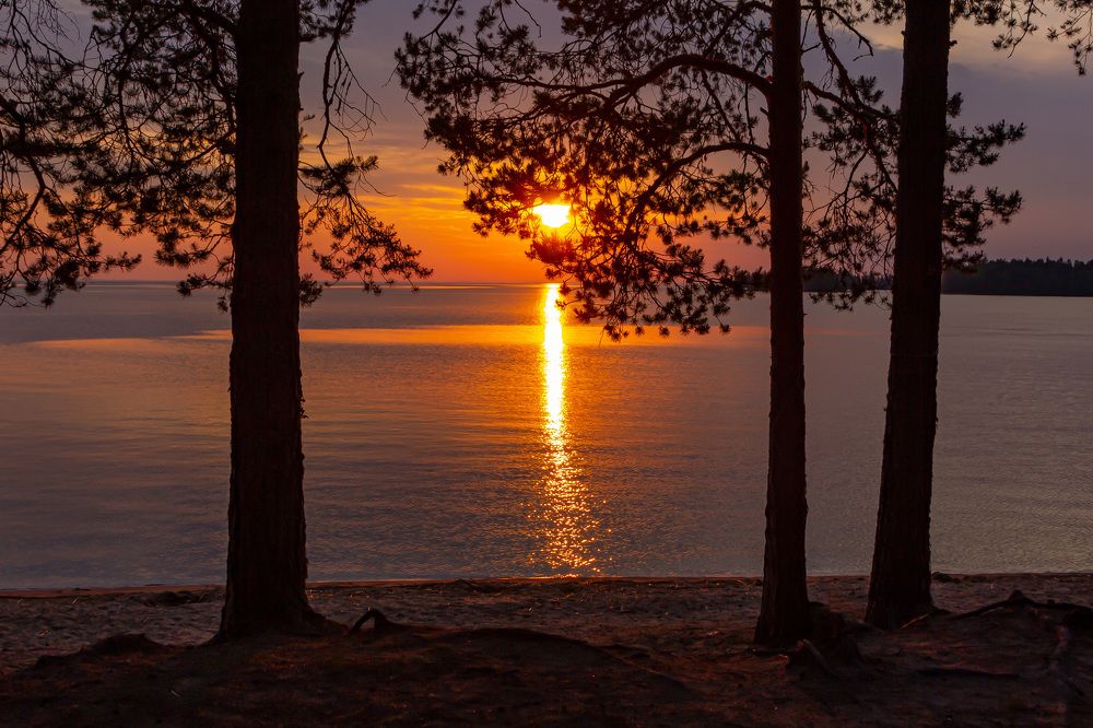 Photograph by Алексей Бирин