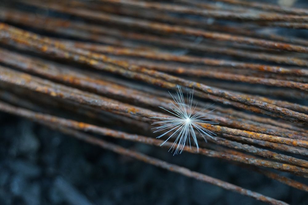 Photograph by Лена Максимкина