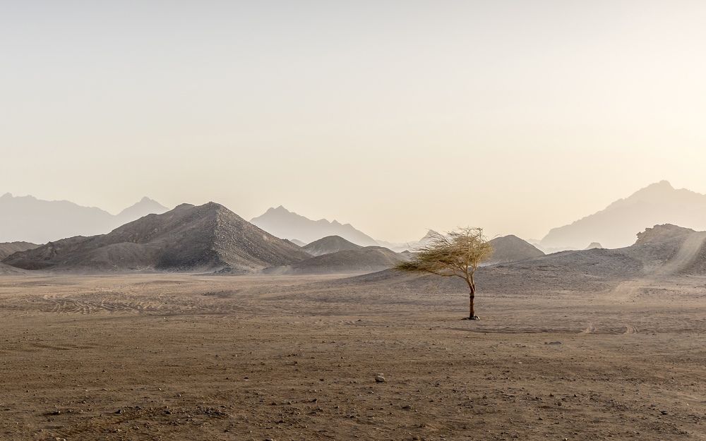 Photograph by Малика Маткарим