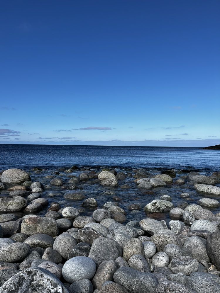 Photograph by Ольга Гущина