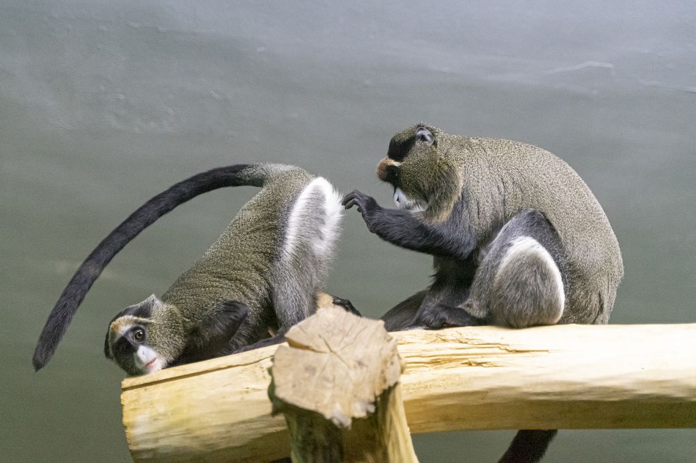 Photograph by Ирина Юракова