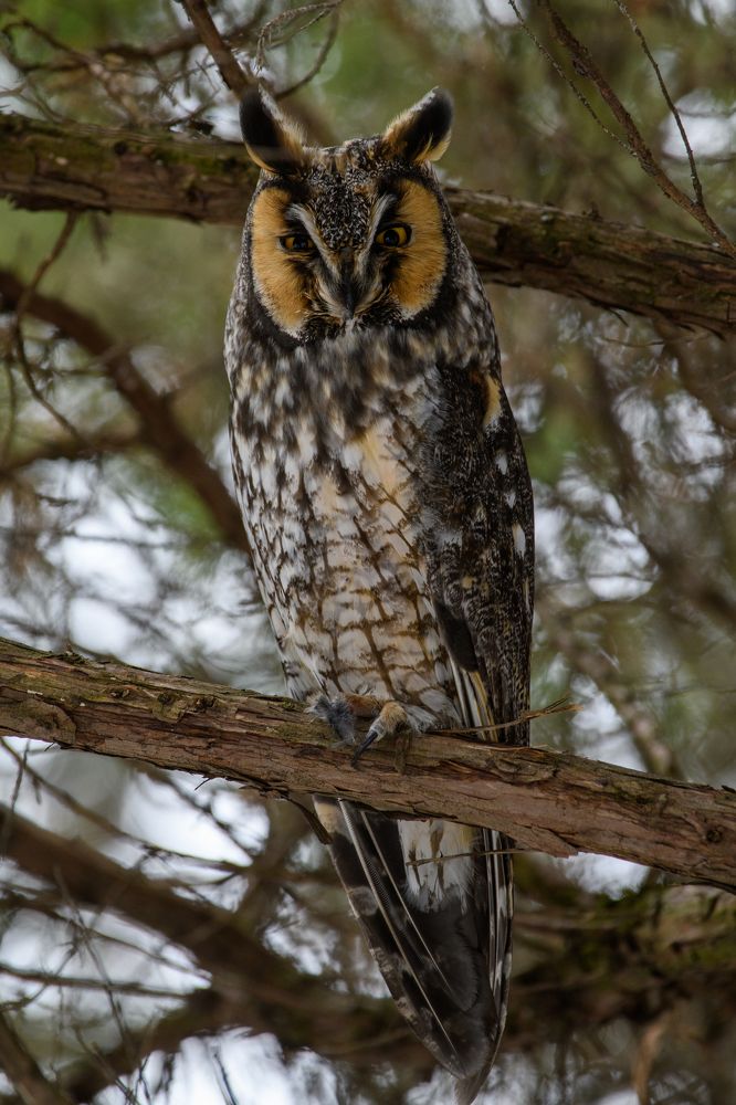 Photograph by Nathalie Talbot