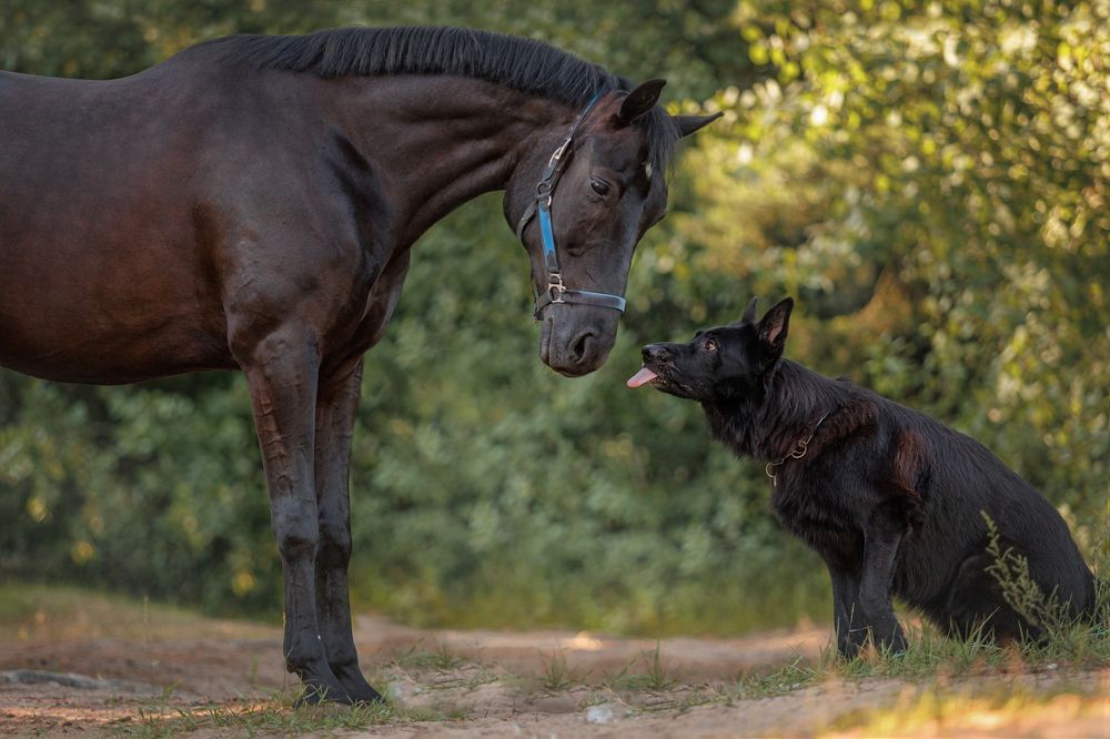 Photograph by Яна Нарбутович