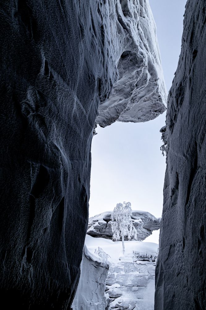 Photograph by Георгиевская Елена