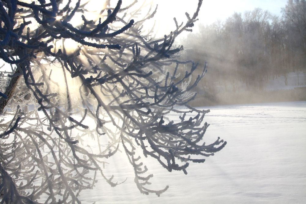 Photograph by Василий