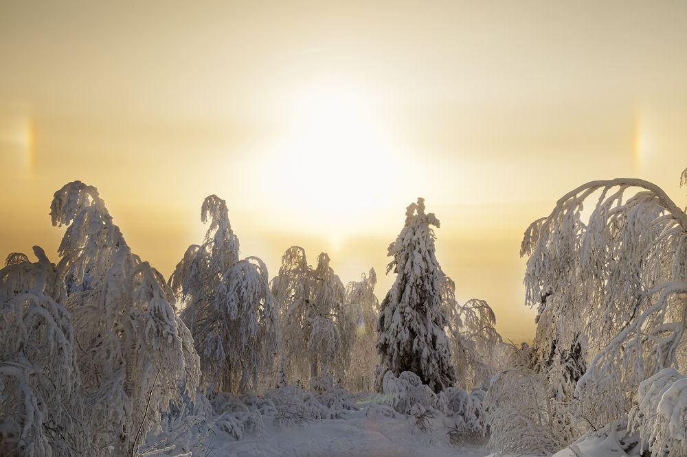 Photograph by Георгиевская Елена