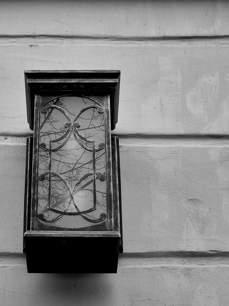 Photograph by Елена Аникеева