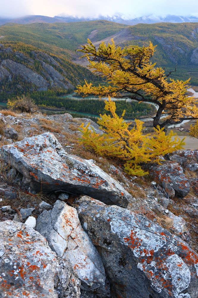 Photograph by Олег