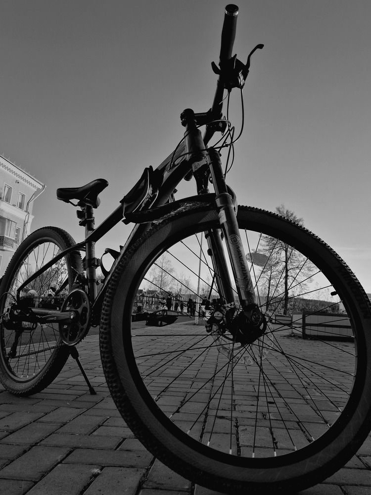 Photograph by Елена Аникеева