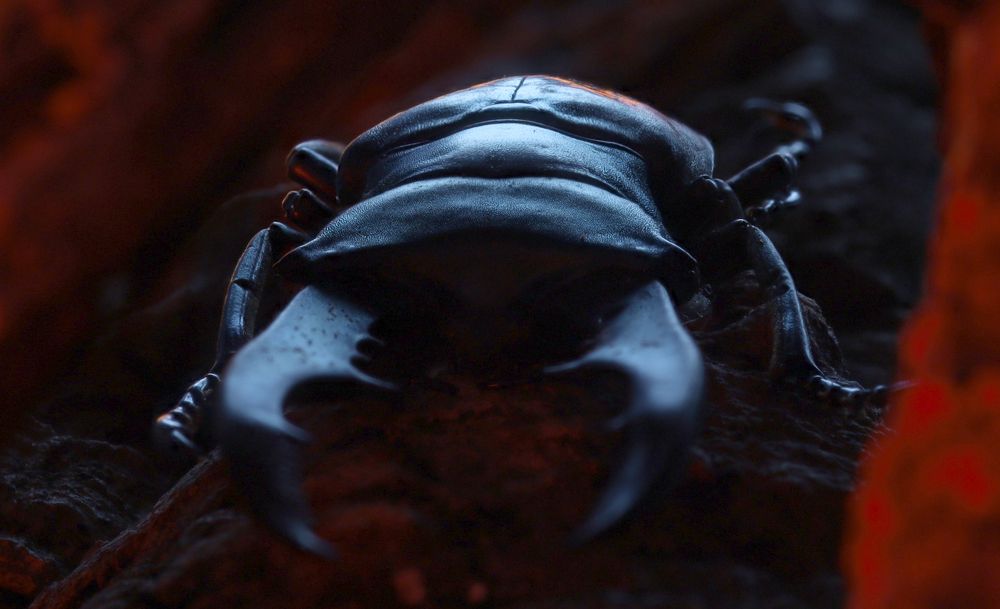 Photograph by Edward Puccini