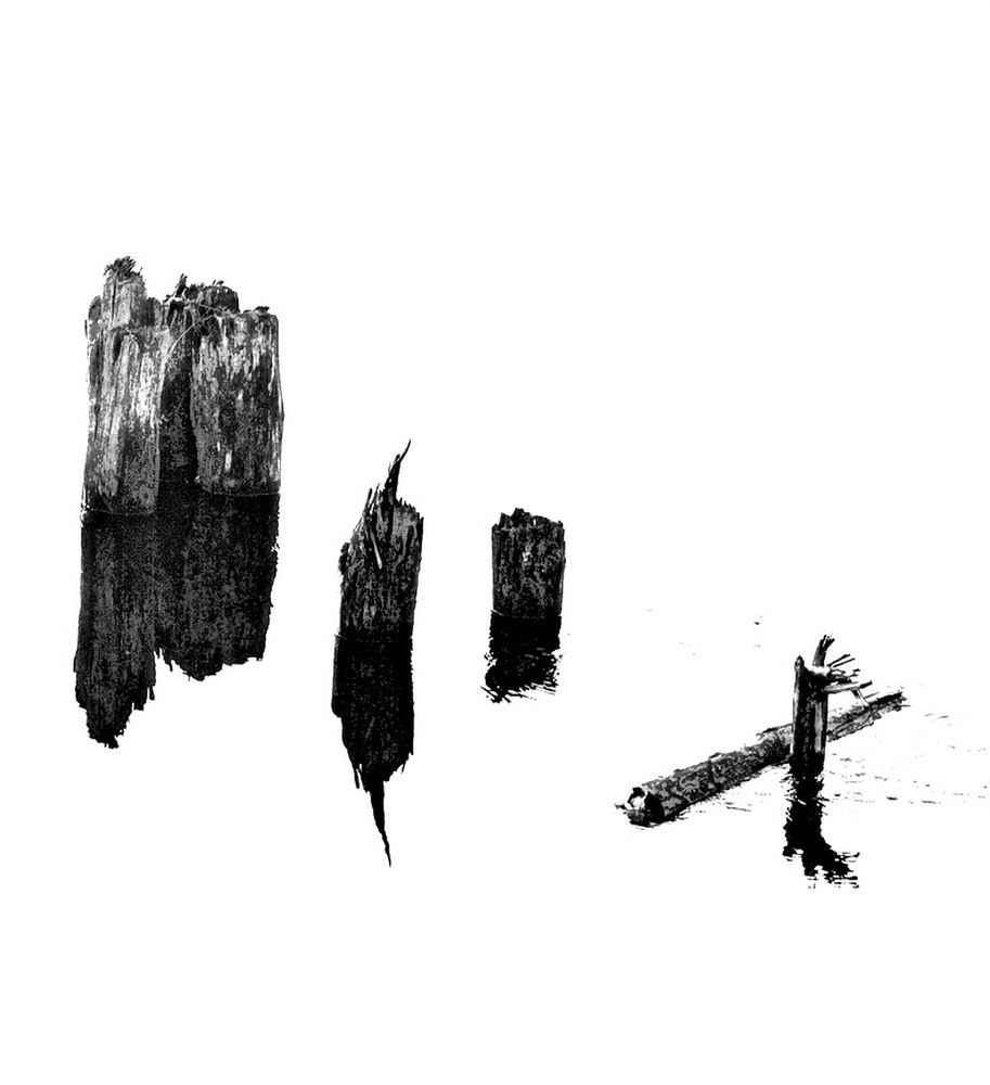 Photograph by Светлана