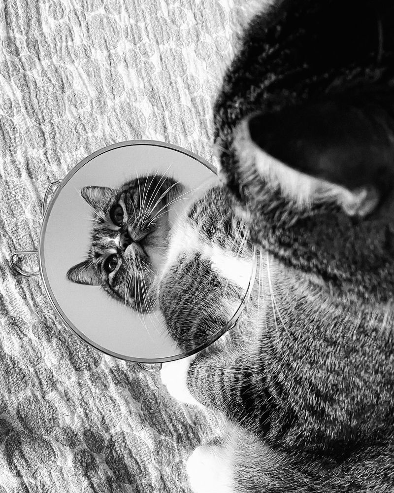 Фотография автора Ольга Каминская