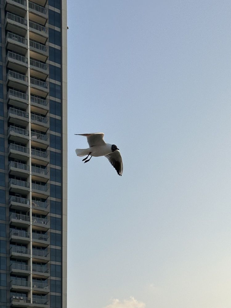 Photograph by Анастасия Конина