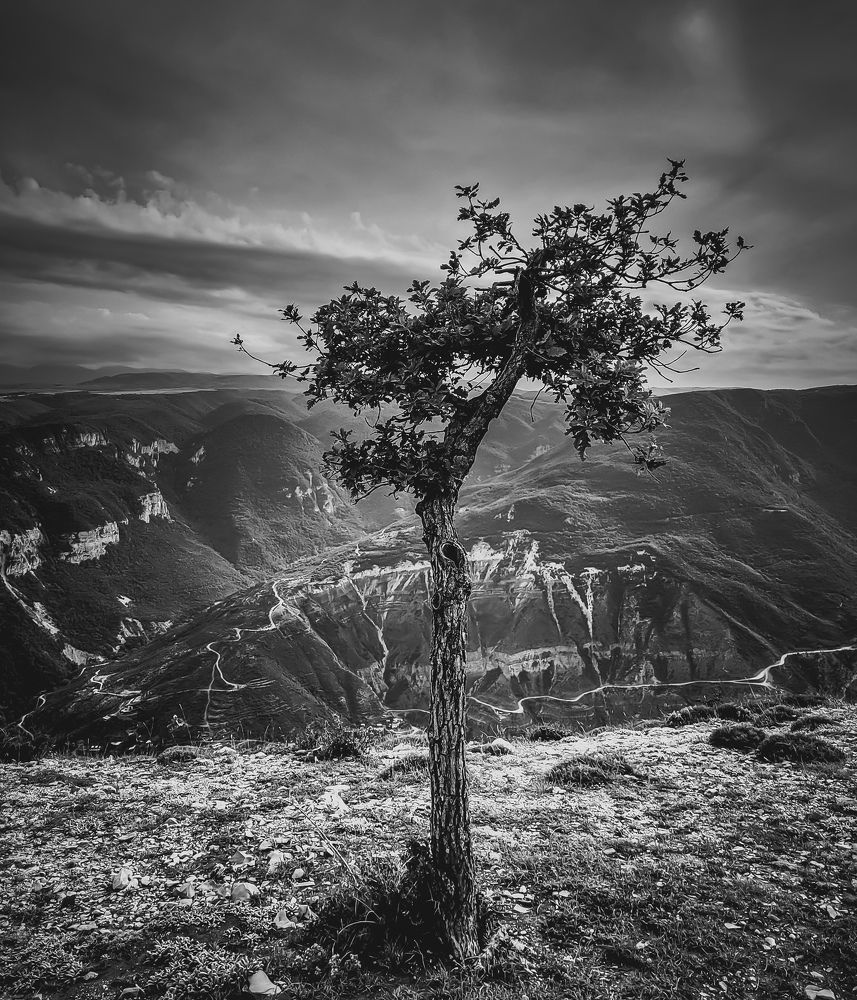 Photograph by Владислав Моисеев