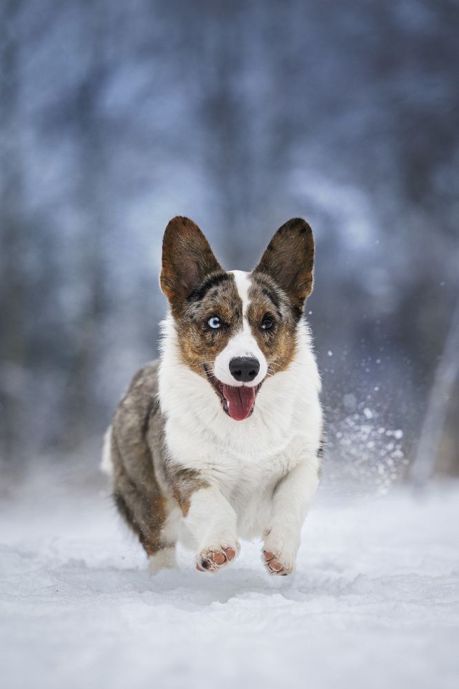 Photograph by Мария Комратова