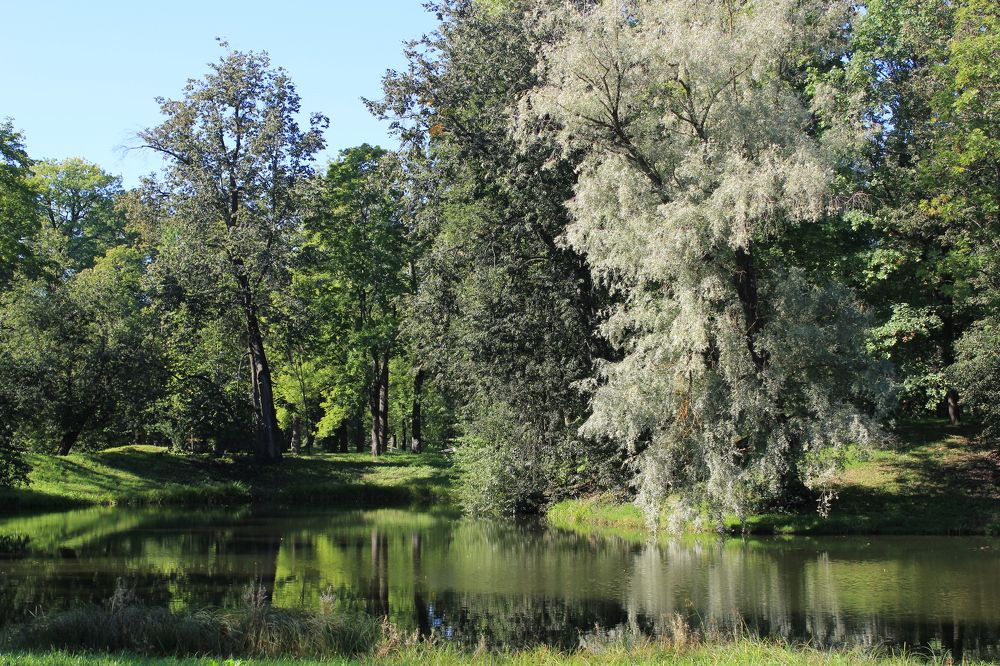 Александровский парк. Пушкин