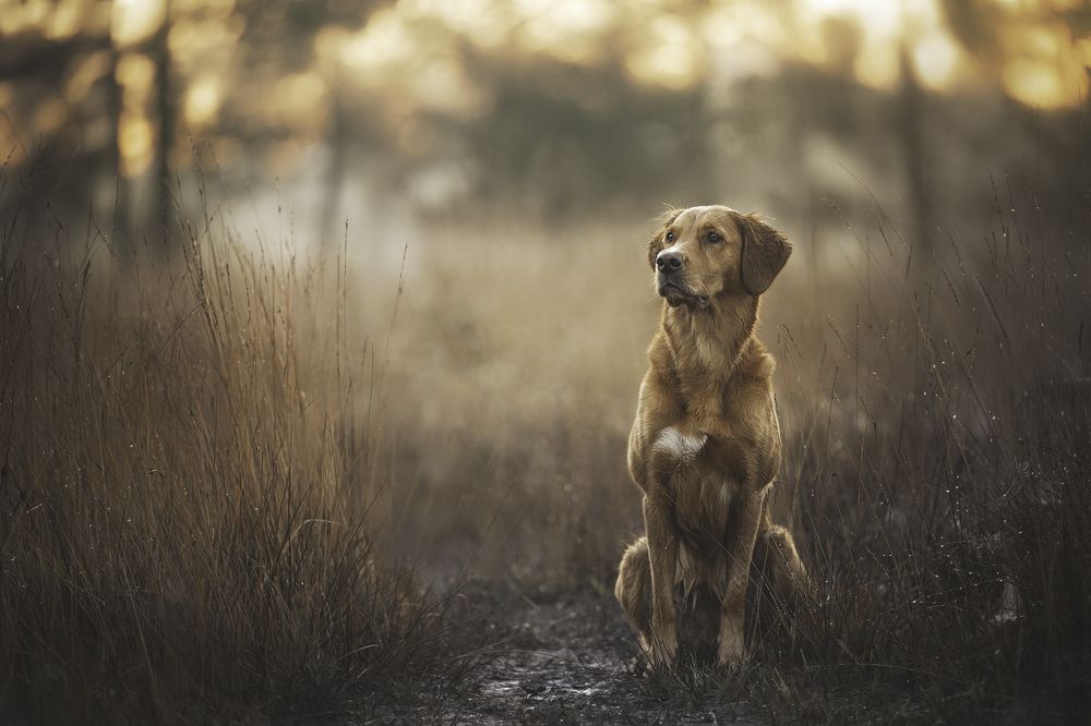 Photograph by Elke Braet