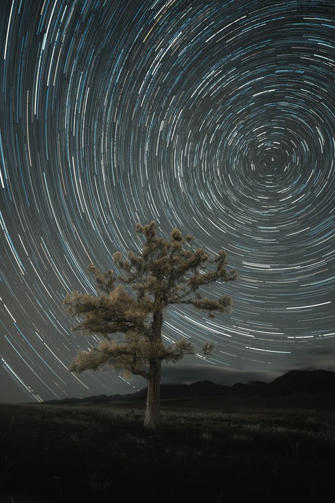 Photograph by Andrey Labutin