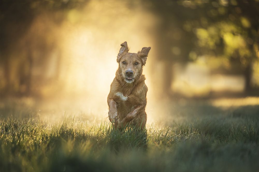 Photograph by Elke Braet