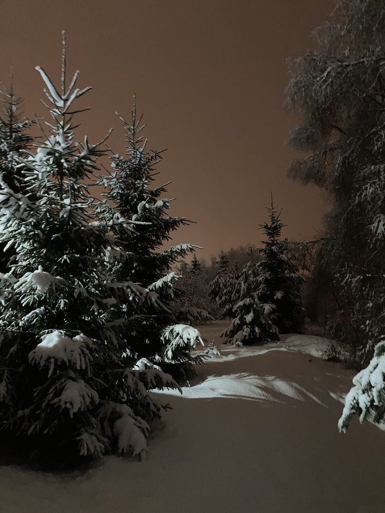 Photograph by Светлана Колышева