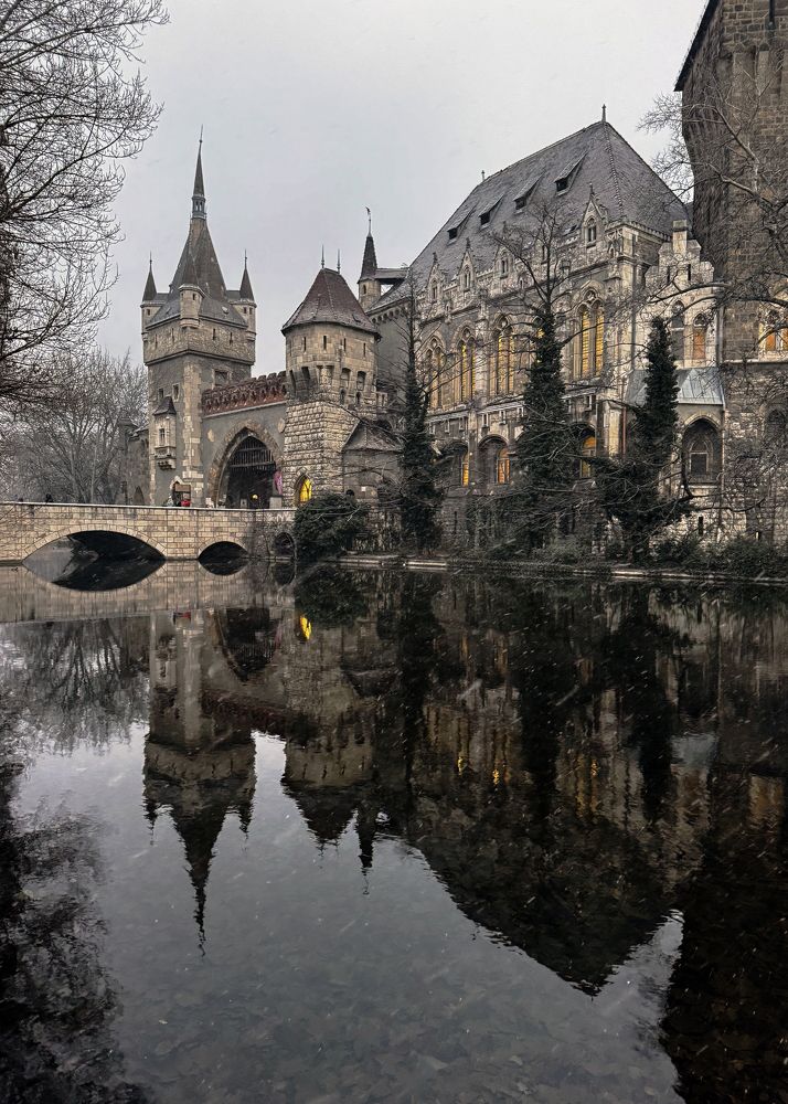 Photograph by Olga Beskrovnykh