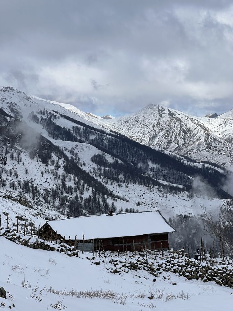 Photograph by amaz avr