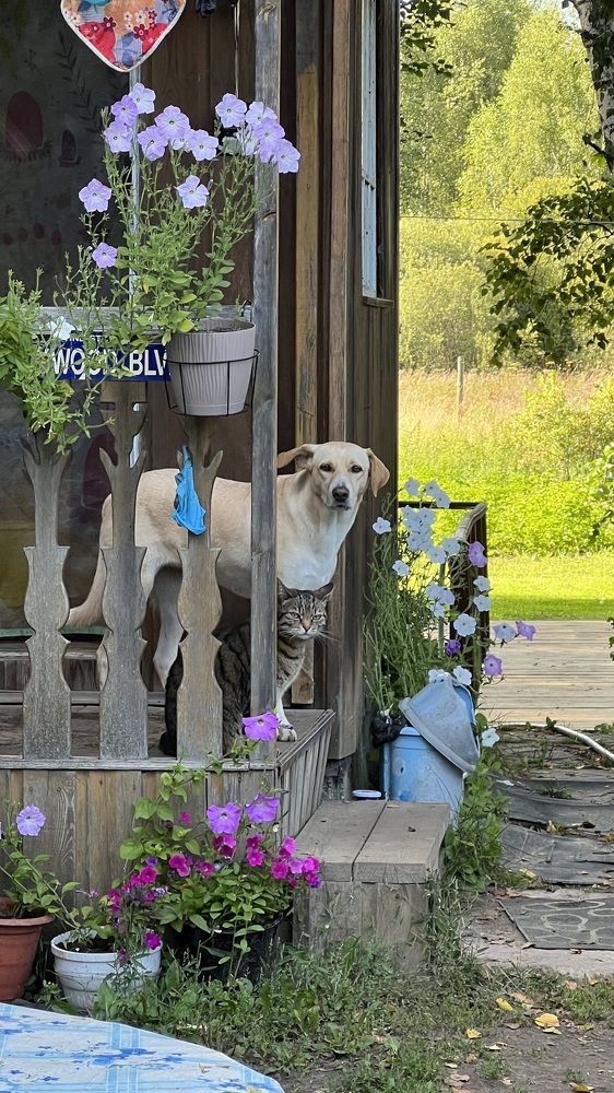 Фотография автора Юлия Недосекина