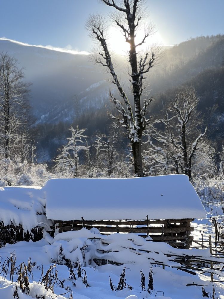 Photograph by amaz avr