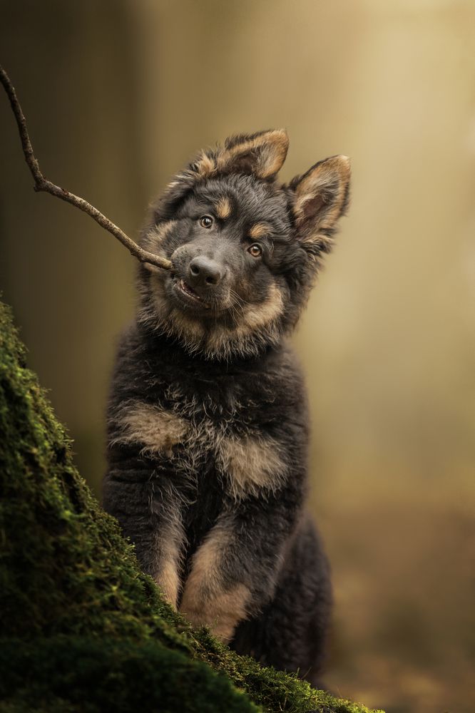 Photograph by Elke Braet