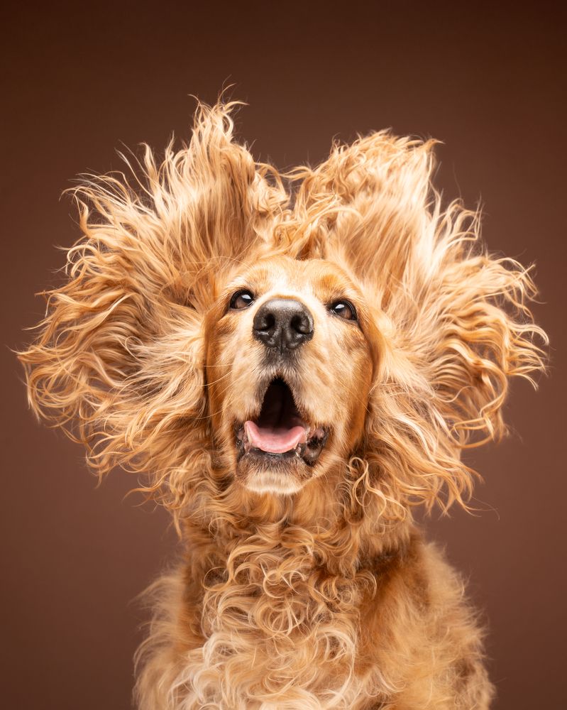 Photograph by Almasconpelo