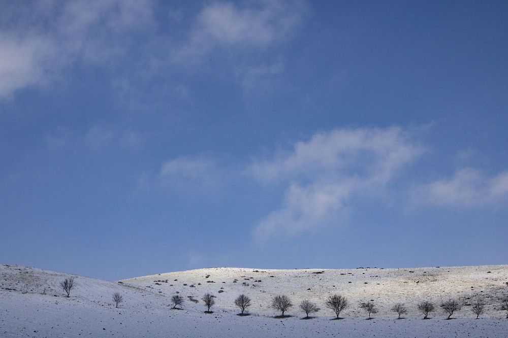 Photograph by Loghman Naderpour
